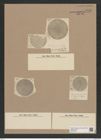 Coscinodiscus denarius A. Schm. (de-Toni-Nr.: Genus 202, Species 4954) Zeichnungen Sammlung Grunow Nr. 8548 (NHMW-BOT-W0378184)